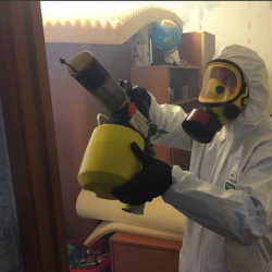 Уничтожение клопов в квартире. Колывань